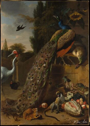 Pavos, 1683 – Melchior d’Hondecoeter Melchior d'Hondecoeter 2025-05-18