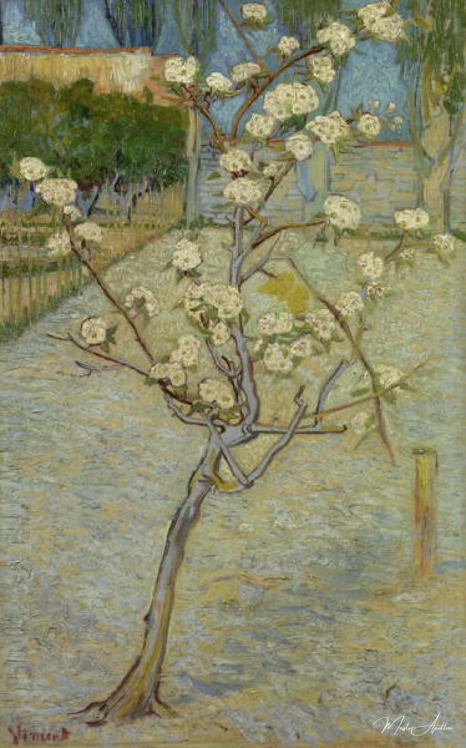Pequeño peral en flor – Van Gogh Vincent Van Gogh 2025-05-14 2