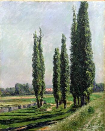 Álamos a la orilla del río en Argenteuil – Caillebotte Gustave Caillebotte 2025-03-12