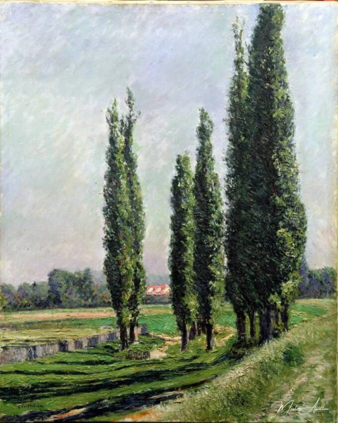 Álamos a la orilla del río en Argenteuil – Caillebotte Gustave Caillebotte 2025-03-13 2