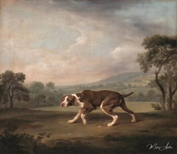Pointeur español – George Stubbs George Stubbs 2025-05-15