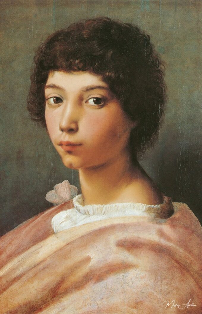 Retrato de un joven – Raphaël (pintor) Rafael Sanzio 2025-05-20