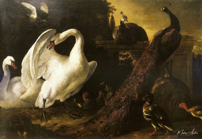 Cisnes y panes – Melchior d’Hondecoeter Melchior d'Hondecoeter 2025-04-17