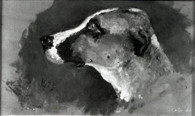 Cabeza de un perro con orejas cortas – Toulouse Lautrec Henri de Toulouse-Lautrec 2025-05-14