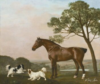 Un cazador de bayas con dos spaniels – George Stubbs George Stubbs 2025-05-14