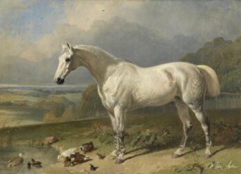 Un caballo gris y patos en un paisaje – John Frederick Herring Snr John Frederick Herring Sr 2025-05-14