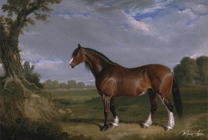 Un semental Clydesdale – John Frederick Herring Snr John Frederick Herring Sr 2025-03-14 2