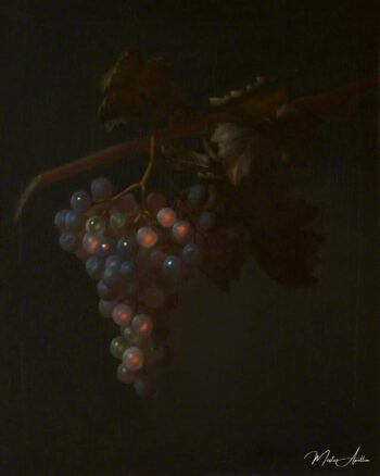 Una racimo de uvas – Tobias Stranover Tobias Stranover 2025-05-14
