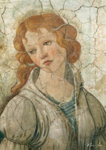 Vénus y las tres Gracias ofreciendo regalos a una joven, detalle de una de las Gracias – Sandro Botticelli Sandro Botticelli 2025-05-13