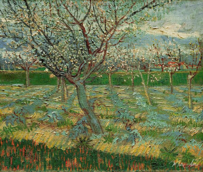 Huerto en flores – Van Gogh Vincent Van Gogh 2025-05-19