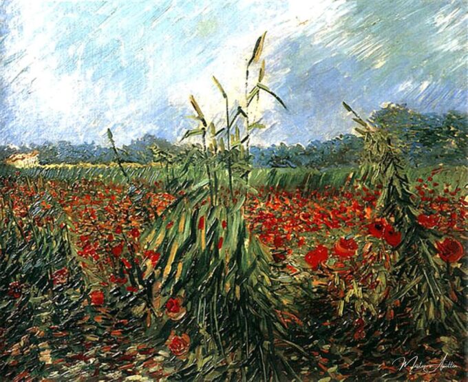Espigas de trigo – Van Gogh Vincent Van Gogh 2025-05-19