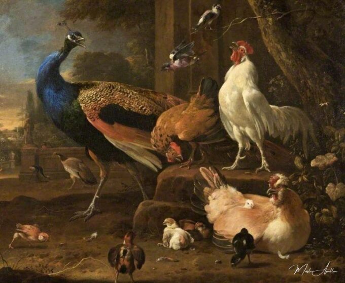 Volaille – Melchior de Hondecoeter Melchior d'Hondecoeter 2025-03-15 2